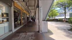 Jurong Gateway Road (D22), Shop House #462338911